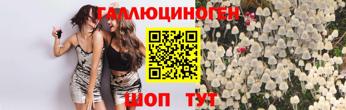Галлюциногенные грибы Cubensis  Вход с VPN  Самара 
