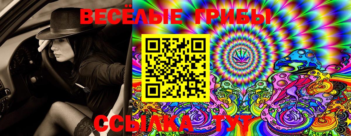 Псилоцибиновые грибы Psilocybe Самара